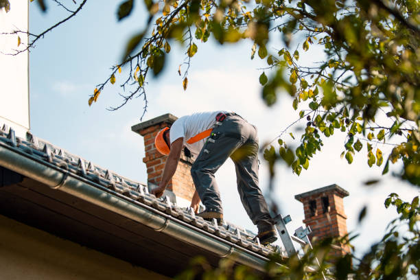 Best Roof Repair Services  in North Puyallup, WA