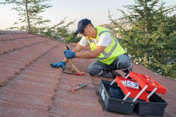 Best Gutter Installation and Roofing  in North Puyallup, WA
