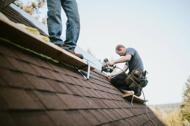 Best Metal Roofing Contractor  in North Puyallup, WA